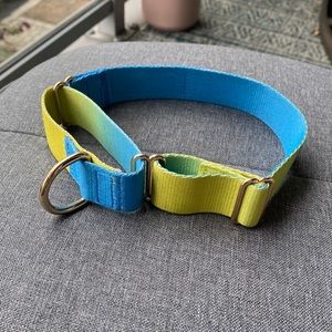 NWOT Caribbean Wave Martingale Dog Collar